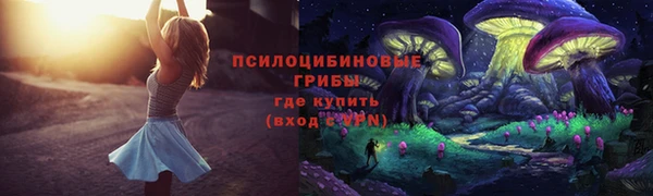 дживик Армянск