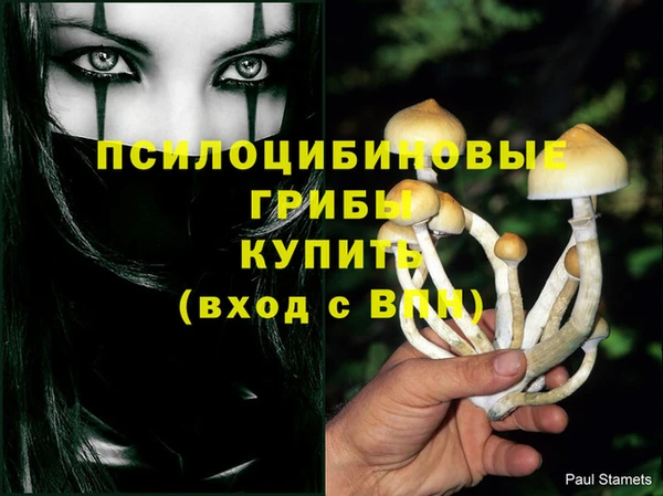 дживик Армянск